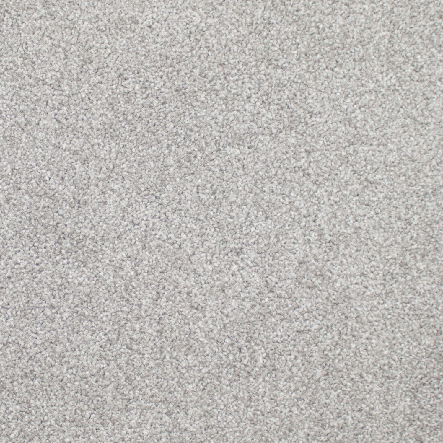 Rich Grey Malaga Saxony Carpet Actionback Hardwearing Stain Resistant 4m & 5m 