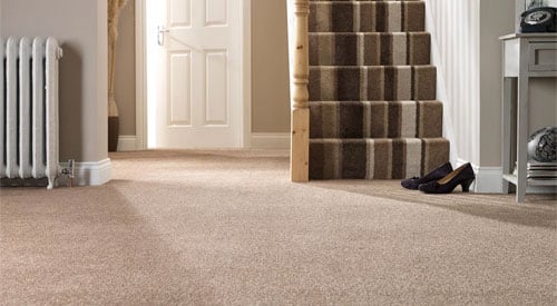 Pet Friendly Flooring Carpetright, Best Floor Covering For Dogs Uk